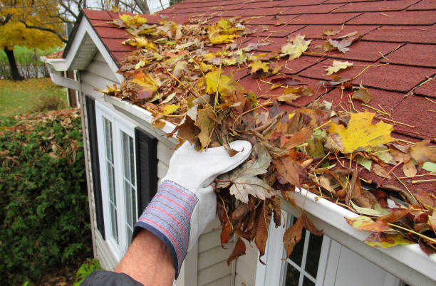 red_roof_gutter_cleaning