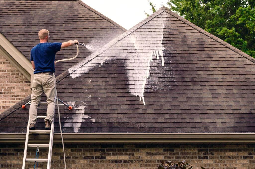 roof_cleaning